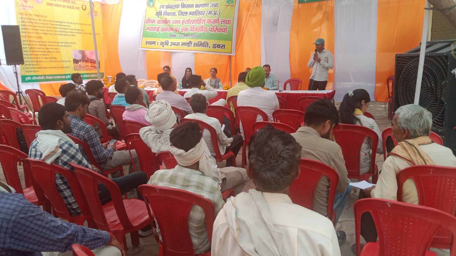 ग्रीष्मकालीन धान