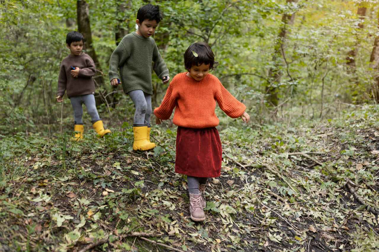 Conservation of biodiversity in india - Complete Explanation