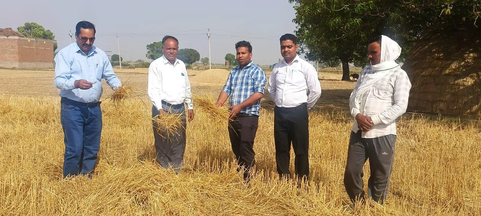 नरवाई जलाना बड़ा खुलासा, अब होगा सीधा असर