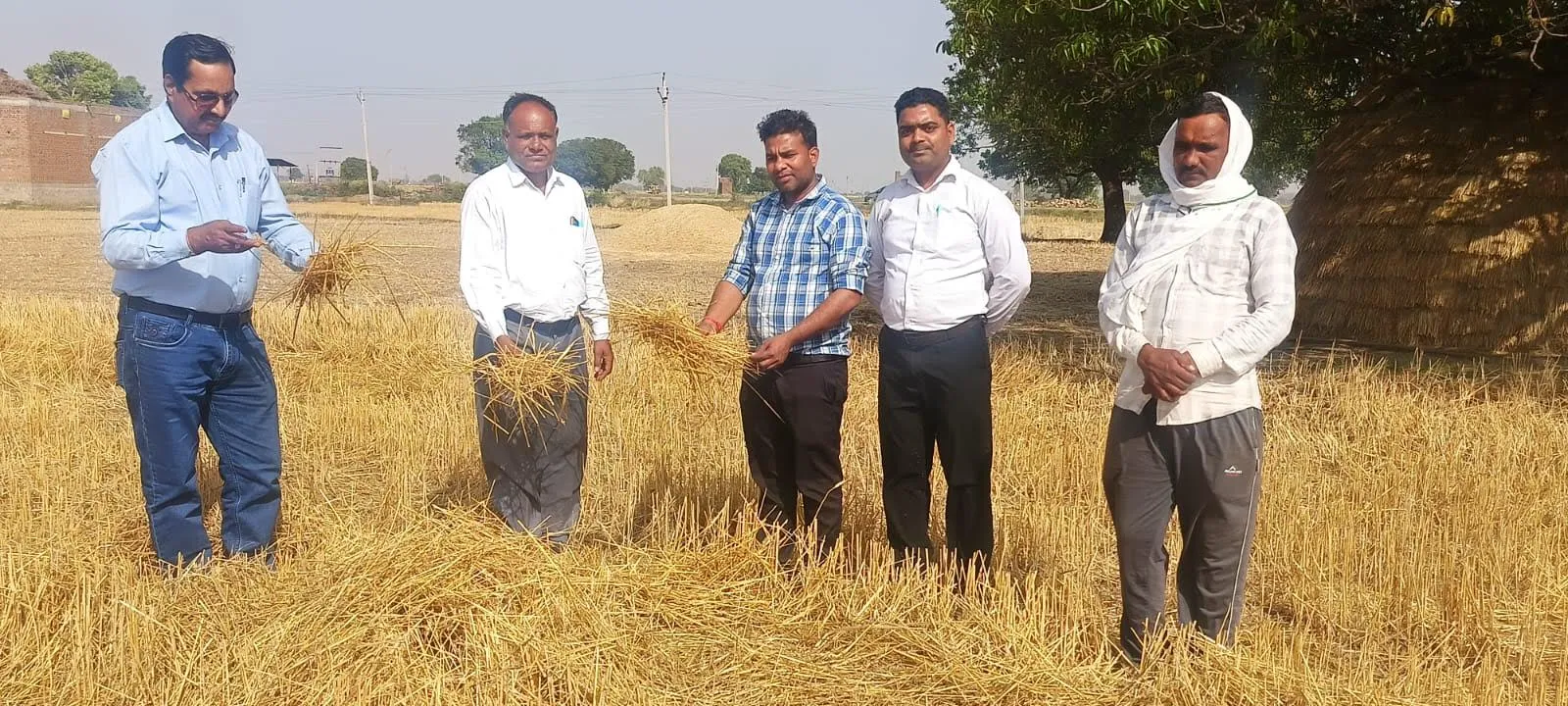 नरवाई जलाना बड़ा खुलासा, अब होगा सीधा असर