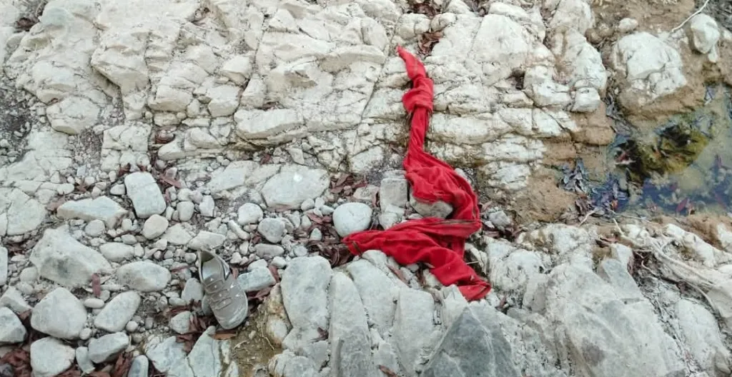 सबसे बड़ी खबर मध्यप्रदेश के शिवपुरी जिले से सामने आ रही है, जहाँ नरवर–सतनवाड़ा मार्ग के पास मड़ीखेड़ा डैम क्षेत्र में एक दिल दहला देने वाली घटना सामने आई है।