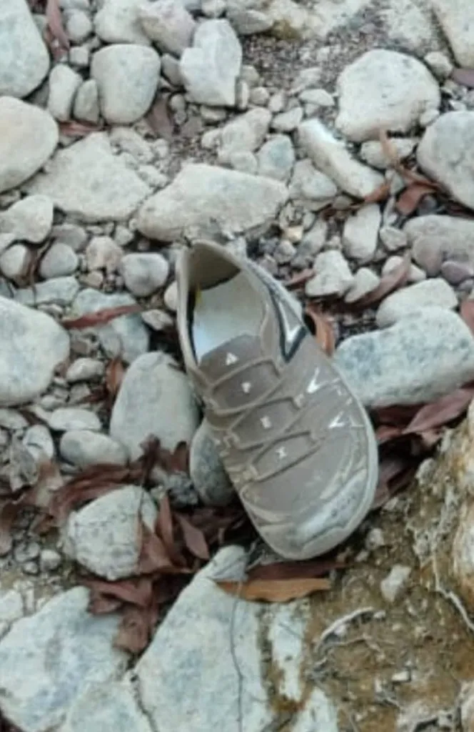 सबसे बड़ी खबर मध्यप्रदेश के शिवपुरी जिले से सामने आ रही है, जहाँ नरवर–सतनवाड़ा मार्ग के पास मड़ीखेड़ा डैम क्षेत्र में एक दिल दहला देने वाली घटना सामने आई है।