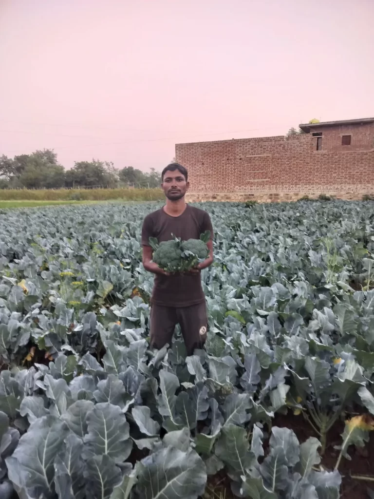 सफलता की कहानी

ब्रोकली की खेती से चमकी अर्जुन की किस्मत 