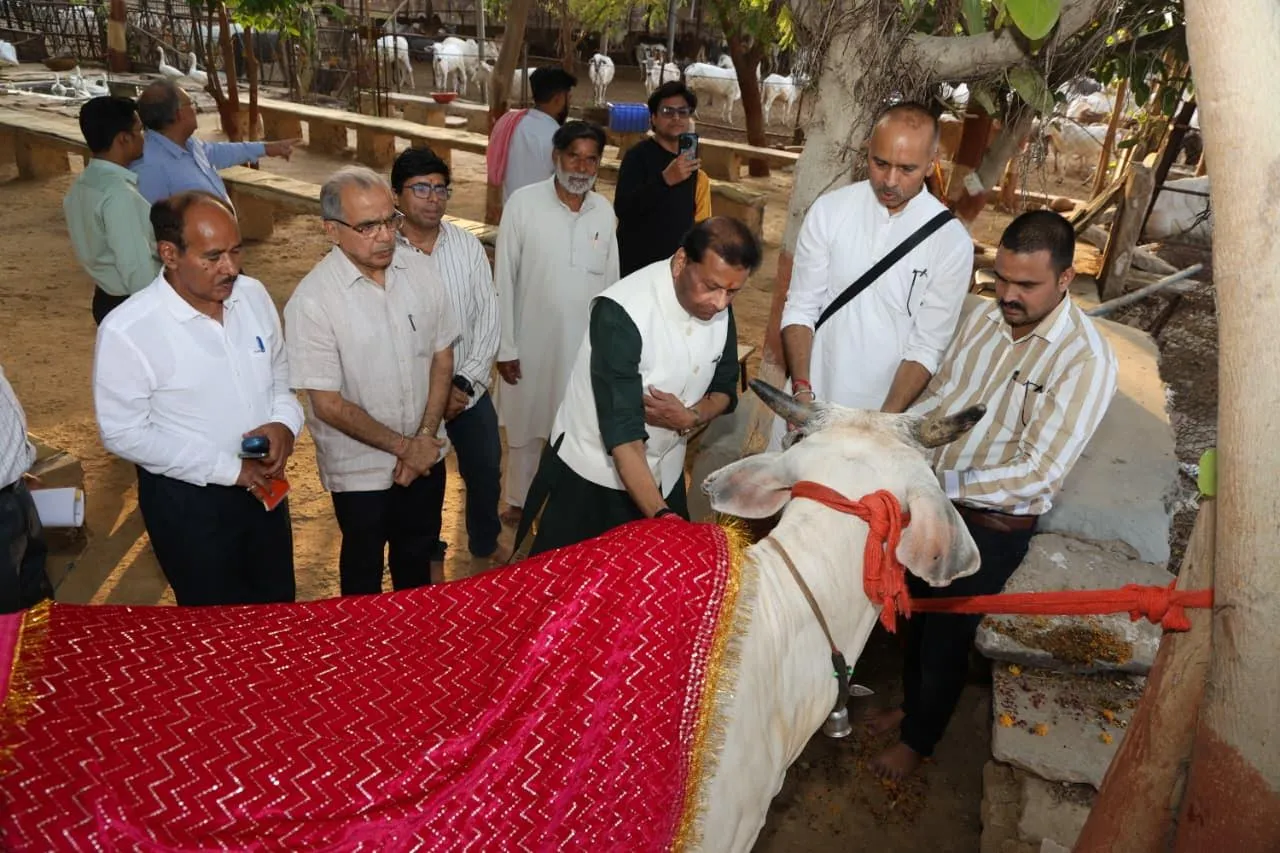 राज्य वित्त आयोग के अध्यक्ष श्री पवैया ने आदर्श गौशाला लालटिपारा के सीएनजी प्लांट का लिया जायजा गाय के गोबर से बायो गैस उत्पादन का अनुपम उदाहरण है यह प्लांट