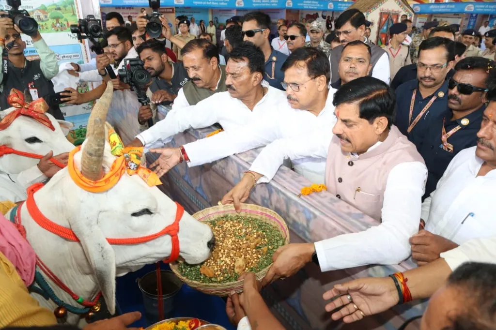 मध्यप्रदेश को बनाएंगे देश की मिल्क केपिटल - मुख्यमंत्री डॉ. यादव

सरकार खरीदेगी दूध, पशुपालकों को दिलाएगी दूध का समुचित दाम

किसान कल्याण वर्ष में पशुपालकों और दूध उत्पादकों का भी करेंगे कल्याण

किसानों की जमीन ली, तो देंगे चार गुना मुआवजा

ग्वालियर में खोला जाएगा पशुओं का वेलनेस सेंटर

पशु स्वास्थ्य केन्द्र का उन्नयन भी किया जाएगा

डबरा में बनेगा नया पशु चिकित्सालय

मुख्यमंत्री डॉ. यादव ने राज्य स्तरीय पशुपालक एवं दुग्ध उत्पादक सम्मेलन में की घोषणा

हितलाभ वितरित कर सभी को पशुपालन एवं दुग्ध उत्पादन से जुड़ने का दिलाया संकल्प