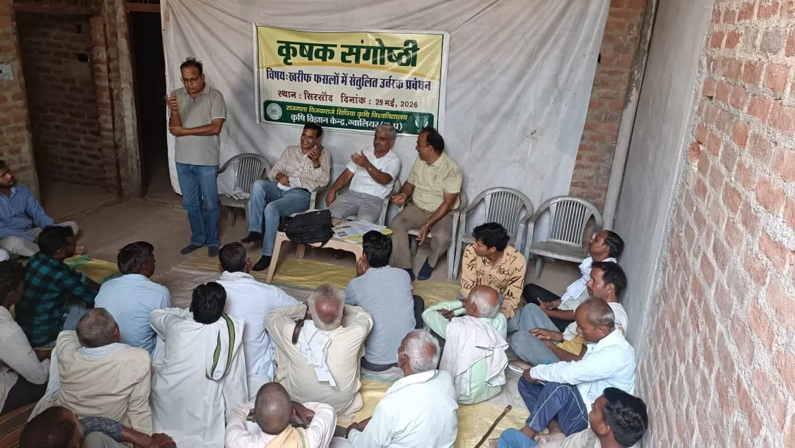 ग्वालियर। कृषि विज्ञान केन्द्र, ग्वालियर द्वारा आज दिनांक 29/05/2026 को खरीफ फसलों की बोनी पूर्व संतुलित पोषक तत्व प्रबंधन पर कृषक संगोष्ठी का आयोजन अंगीकृत ग्राम सिरसौद में किया गया। संगोष्ठी भारतीय कृषि अनुसंधान परिषद - क्षेत्रीय आलू अनुसंधान केन्द्र, ग्वालियर के साथ संयुक्त रूप से आयोजित की गई। संगोष्ठी में केन्द्र के वरिष्ठ वैज्ञानिक एवं प्रमुख डॉ. शैलेन्द्र सिंह कुशवाह ने बताया कि खरीफ फसल तिल, ज्वार, धान एवं सब्जियों में पोषक तत्व प्रबंधन पर विस्तार से चर्चा की।
