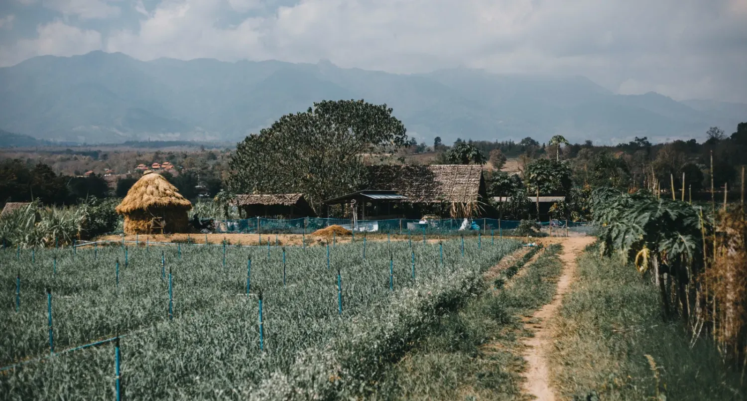 सफलता की कहानी  दो तालाबों ने बदली सहरिया किसानों की तकदीर, खेतों में लहलहाया पीला सोना  “जल गंगा संवर्धन अभियान” बना ग्रामीण समृद्धि का आधार 